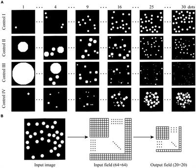 Role of Lateral Inhibition on Visual Number Sense